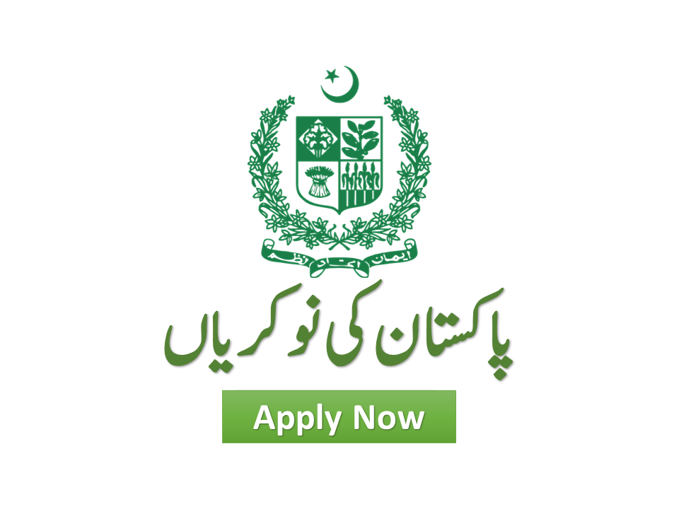 How I can get government job in Pakistan?